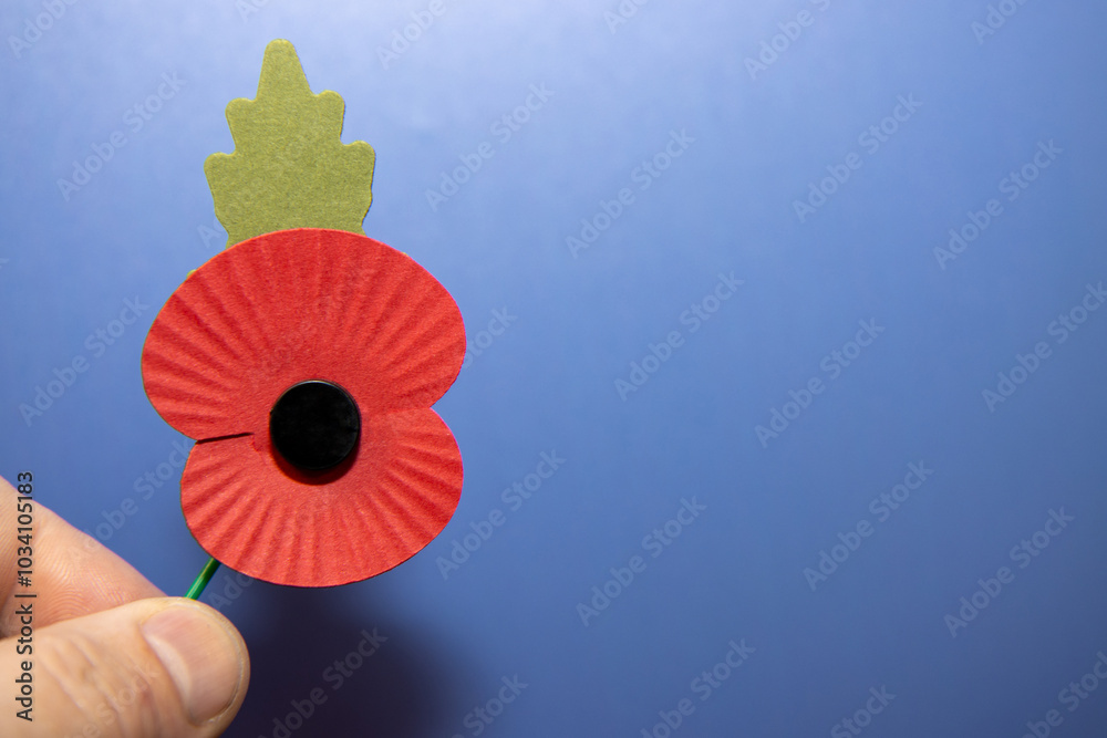 A remembrance poppy made entirely from paper being held by a males man on a blue background