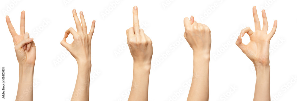 A woman's hand makes a variety of hand gestures against a white background. The hand makes the peace sign, the okay sign, the middle finger, a fist, and the okay sign again A woman's hand makes a variety of hand gestures against a white background. The hand makes the peace sign, the okay sign, the middle finger, a fist, and the okay sign again