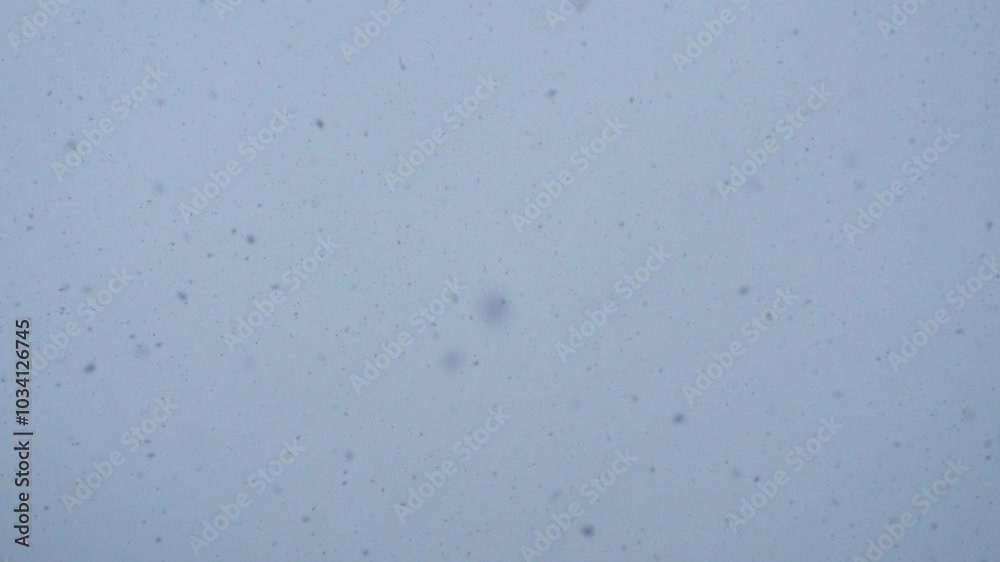 The Heavy Snowfall Creates a Gloomy and Dreamy Atmosphere in the Landscape Outside The Heavy Snowfall Creates a Gloomy and Dreamy Atmosphere in the Landscape Outside
