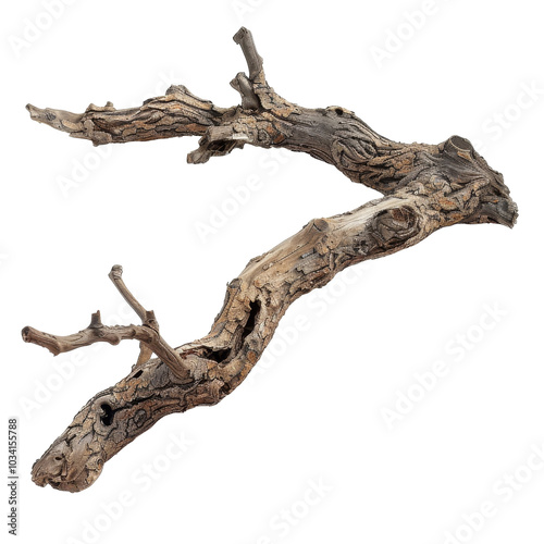 Natural driftwood branch on a light background showcasing intricate textures and organic shapes