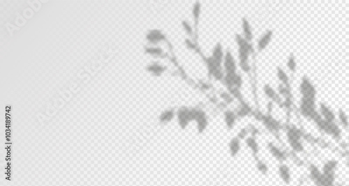 Glare from the sun's rays on the wall. Blurred shadows from leaves and plants in the room. Soft overlay of natural light. 