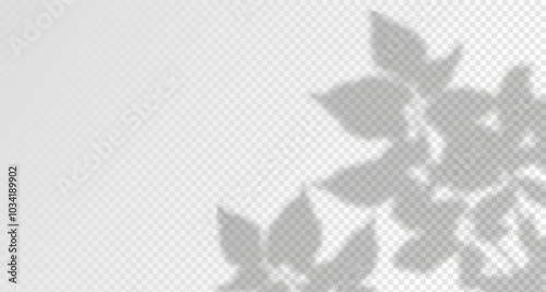 Glare from the sun's rays on the wall. Blurred shadows from leaves and plants in the room. Soft overlay of natural light. Abstract background for product presentation.Natural light layout.