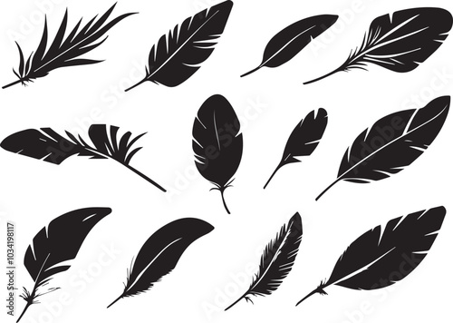 Set of bird feathers on a white background, line art, feather silhouettes.