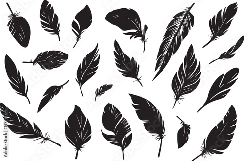 Set of bird feathers on a white background, line art, feather silhouettes.
