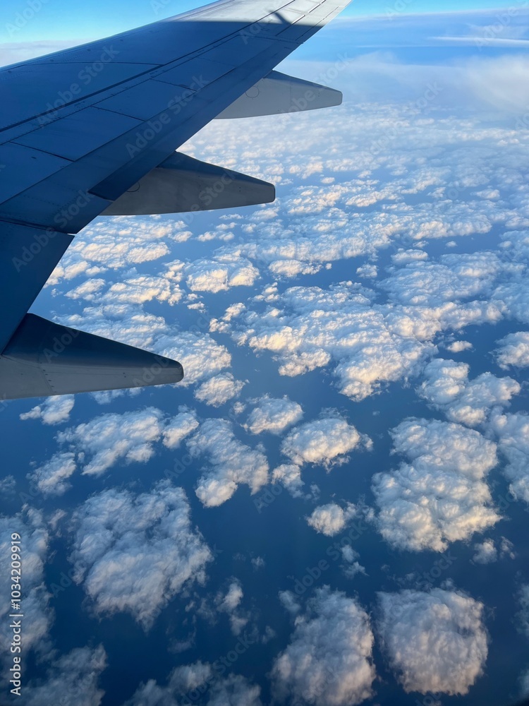 Fototapeta premium view from airplane window