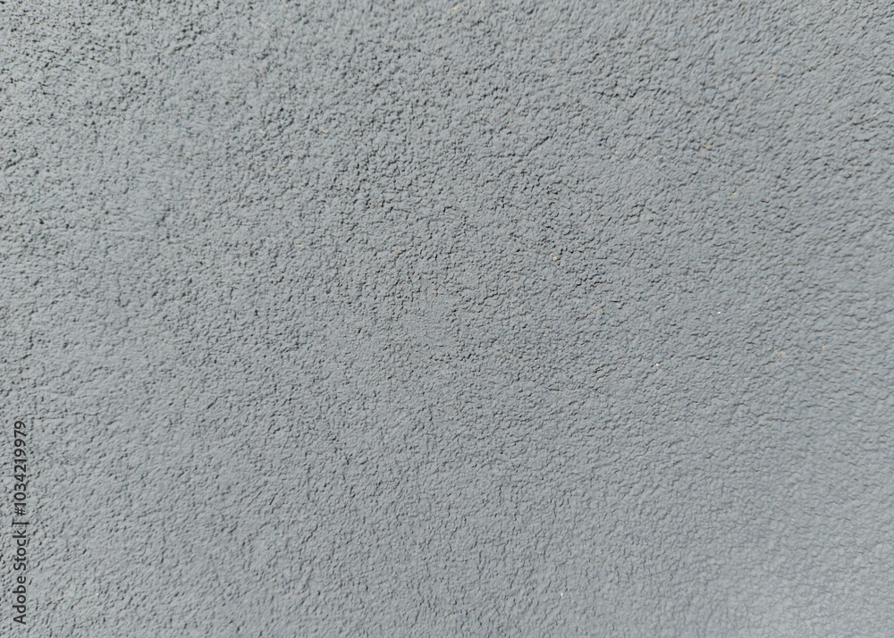 Rough Light Gray Textured Surface Rough Light Gray Textured Surface
