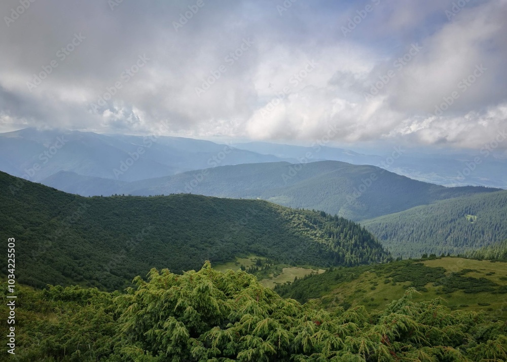 The hazy atmosphere creates a peaceful, mysterious mood, perfect for nature, adventure, and outdoor travel themes. The hazy atmosphere creates a peaceful, mysterious mood, perfect for nature, adventure, and outdoor travel themes.