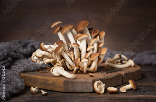 Fresh raw brown poplar mushrooms or velvet pioppini mushrooms on dark wood closeup photo