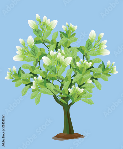 jusmine plant on blue background vector design