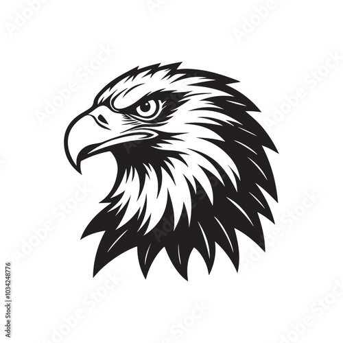 eagle head silhouette vector, black and white silhouette, vector and illustration, black and white
