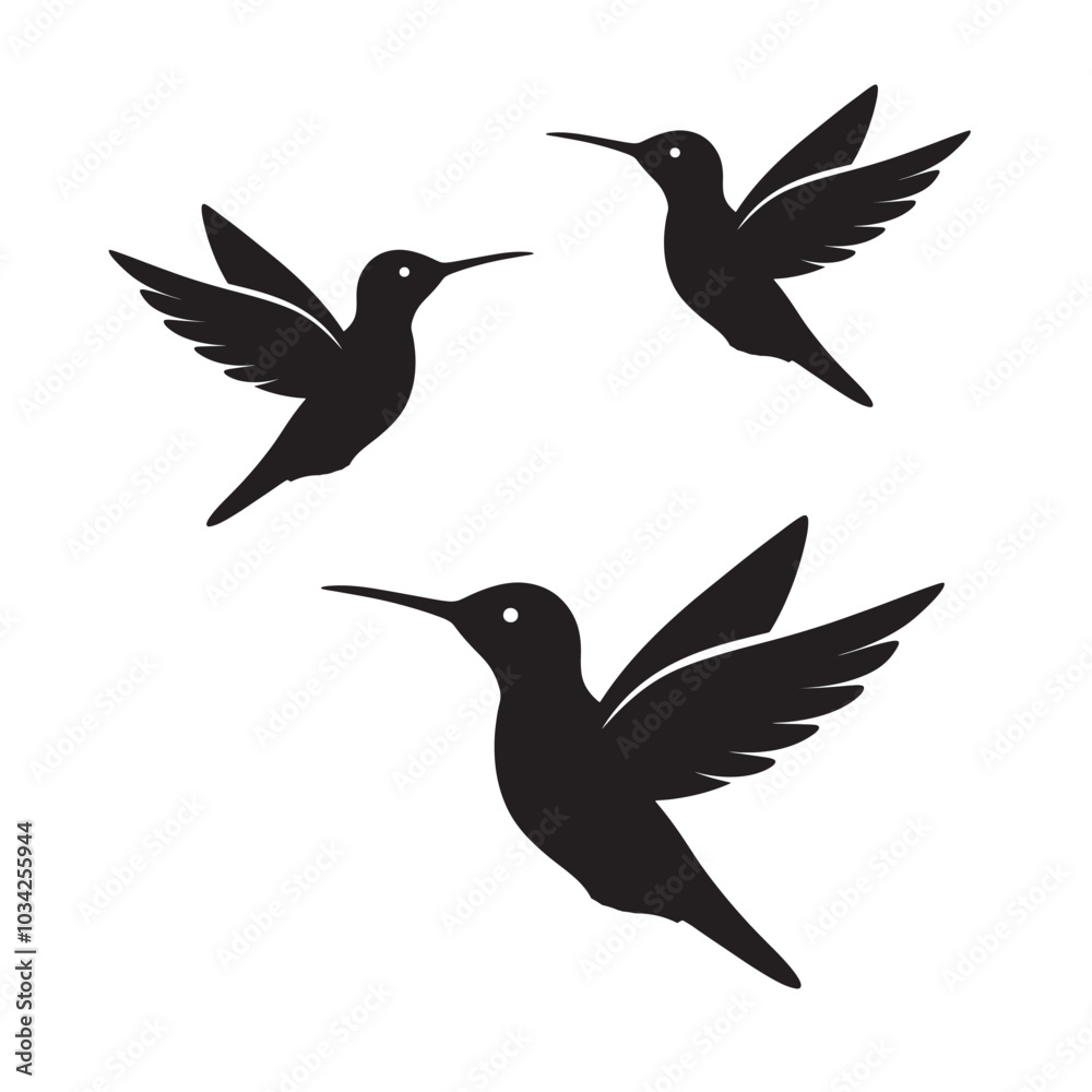 Obraz premium Hummingbird silhouette image. Flying hummingbird silhouette images