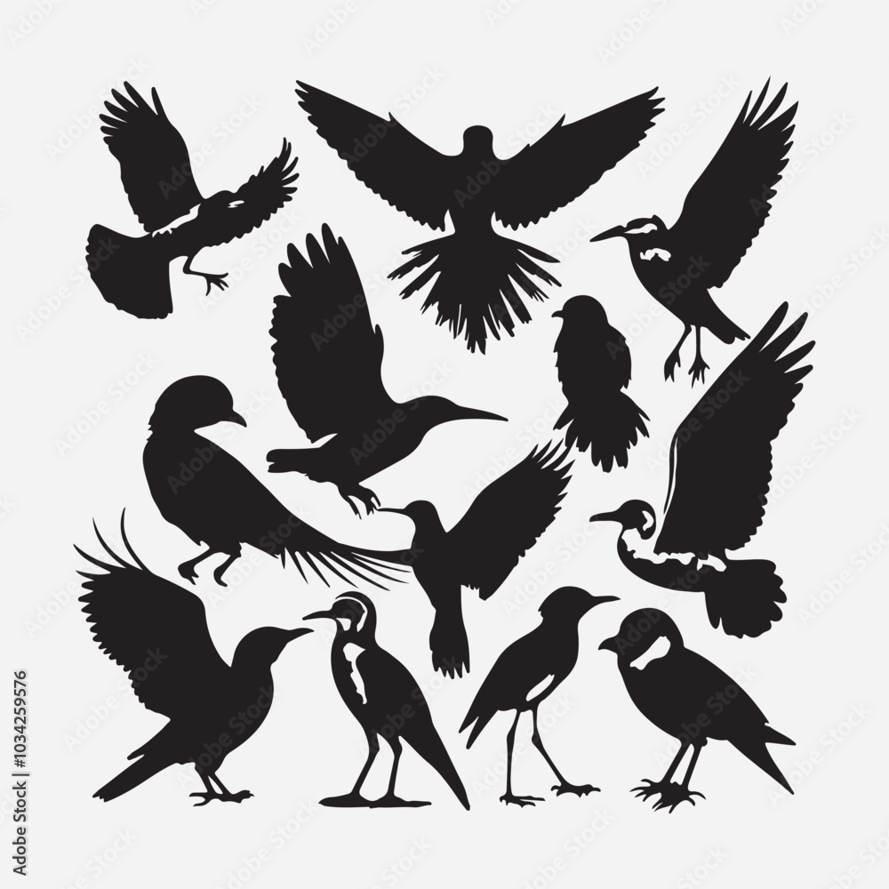 Obraz premium Bird Silhouette Images, Bird Silhouettes stock illustrations