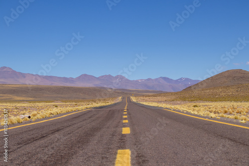 road in the desert