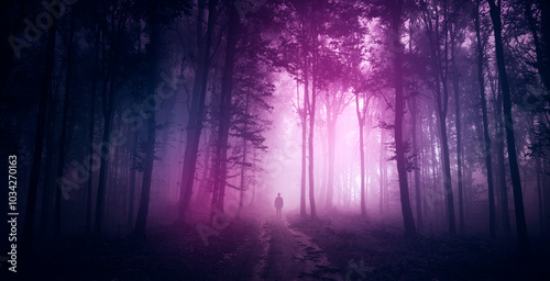 dark fantasy forest with man silhouette in the fog