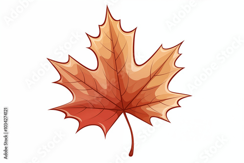 A vector hand drawn maple leaf isolated on transparent background