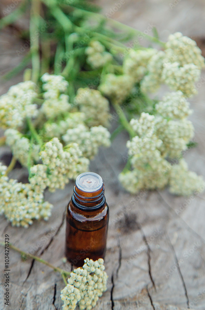 Yarrow extract in a bottle. Selective focus. Yarrow extract in a bottle. Selective focus.