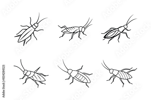 Cricket Insects And Bugs Black lineout set Icons on white background.	