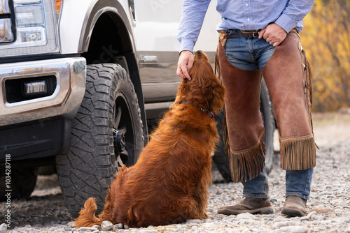 Canvastavla a cowboy in leather chaps with his dog standing in front of a truck