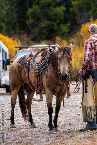 horse wearing western saddle and tack standing next to cowboy wearing chaps in the Wyoming mountains in autumn