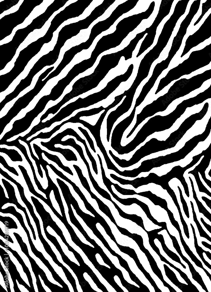 Zebra pattern, abstract, new, innovation, design Zebra pattern, abstract, new, innovation, design