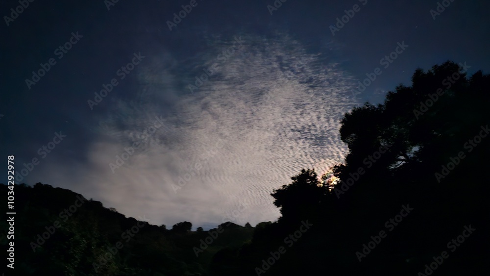 Naklejka premium night