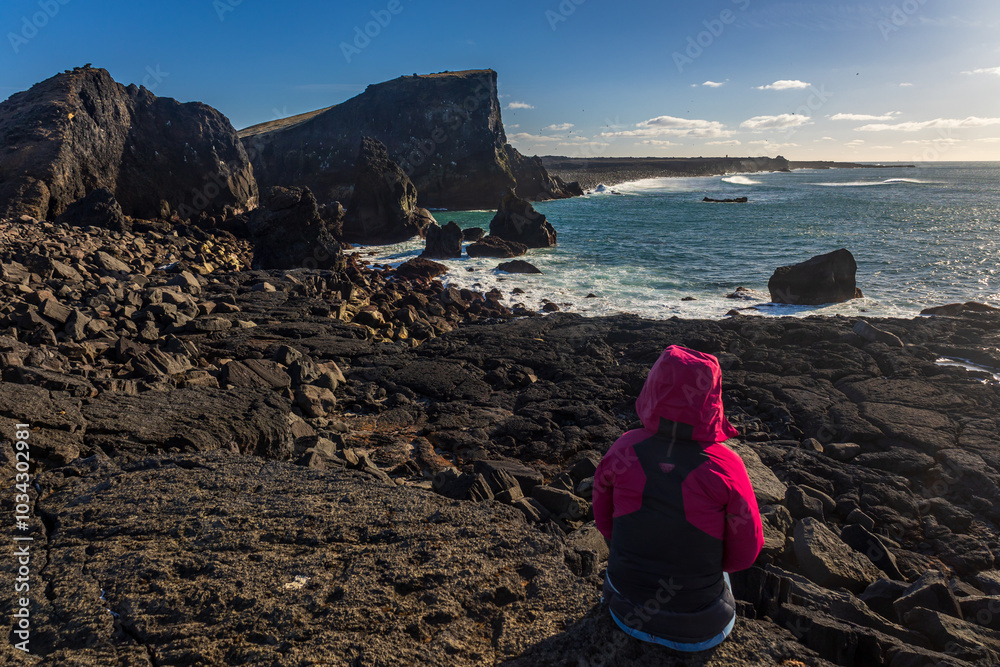 Dramatic view of the icelandic shore