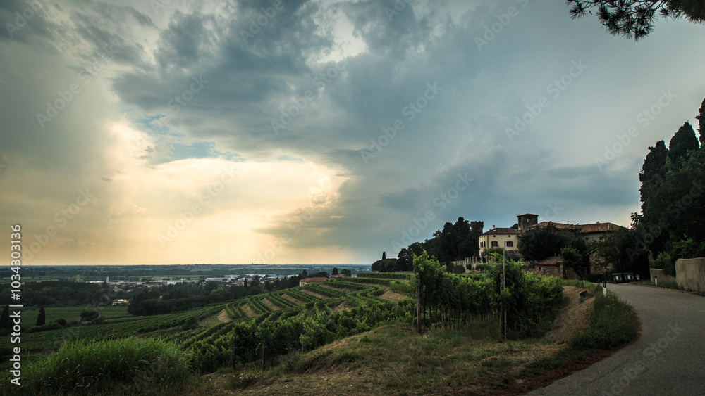 Storm over the vineyard