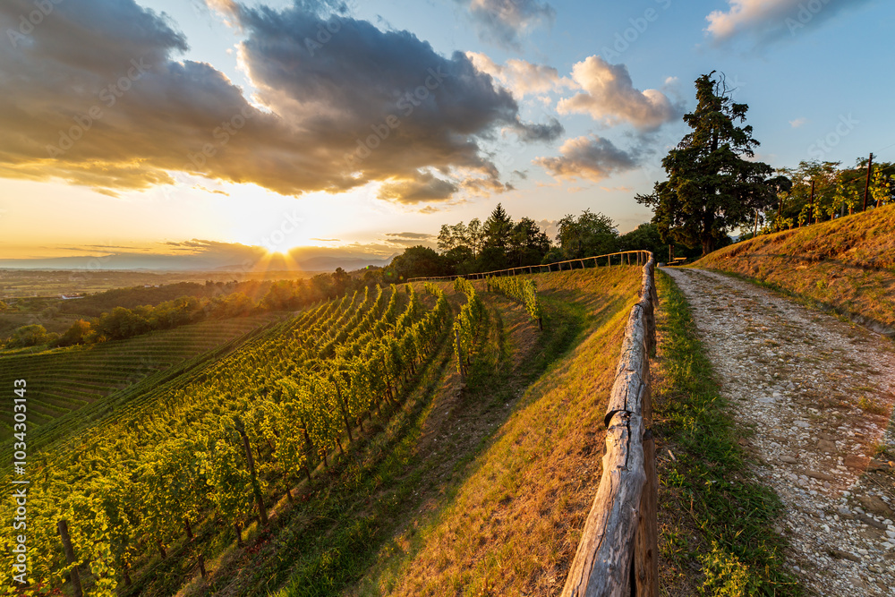 Colorful sunset in the vineyards of Savorgnano del Torre