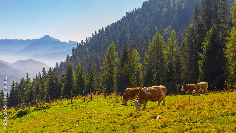 Julian Alps in September are beautiful!
