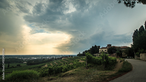 Obraz na płótnie Storm over the vineyard w salonie