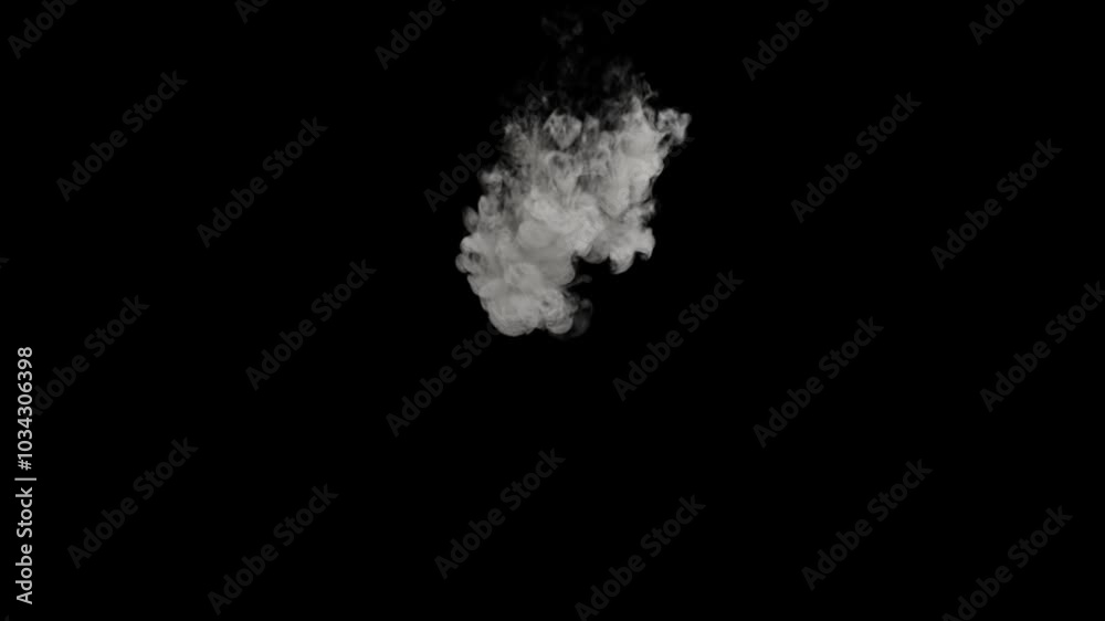 Puffy smoke falling on transparent background
3d rendering of fire explosion simulation with alpha channel (transparent background)
Puffy smoke falling on transparent background
3d rendering of fire explosion simulation with alpha channel (transparent background)