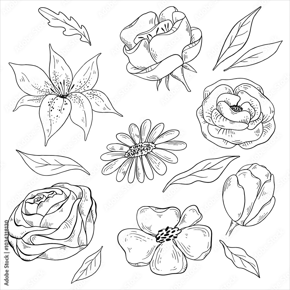 Doodle is a set of different blooming buds. lily, rose, chamomile, peony, tulip hand-drawn in sketch style Doodle is a set of different blooming buds. lily, rose, chamomile, peony, tulip hand-drawn in sketch style