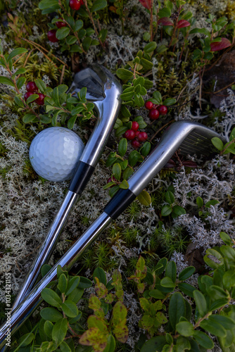 The aesthetics of Finnish Golf. Golf clubs and golf ball in a moss surrounded by cranberries.
