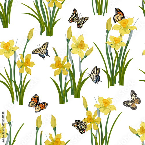 Pattern with daffodils and butterflies.Daffodils and multicolored butterflies on a white background in a vector pattern.