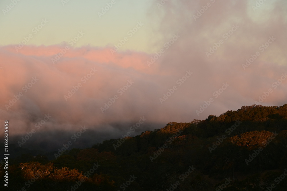 Fototapeta premium fog