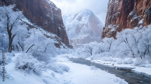 Zion Canyon Winter in Zion National Park.  photo