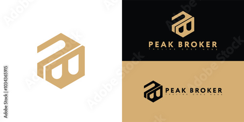 Modern initial hexagon vector letter PB or BP logo in gold color isolated on multiple background colors. The logo is suitable for real estate service company logo design inspiration templates.