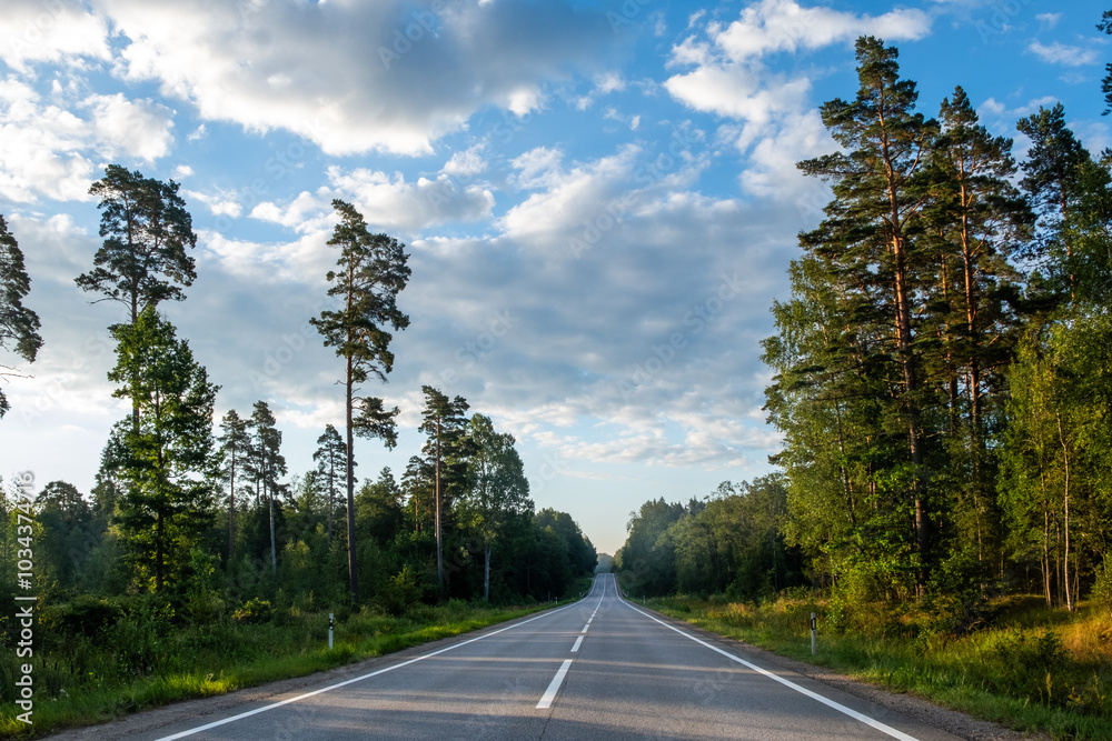 Naklejka premium Scenic road through lush green forest under a bright blue sky during the late afternoon in a tranquil natural setting