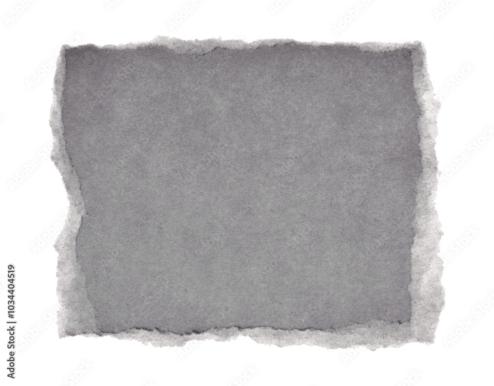 Torn empty pieces texture paper isolated on white background. Torn empty pieces texture paper isolated on white background.