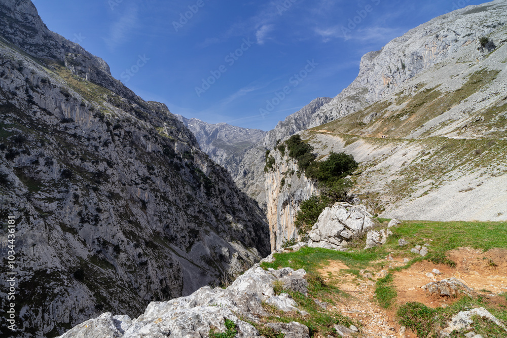 A mountain range with a clear blue sky and a tree in the middle. The mountain range is very rocky and the sky is very clear A mountain range with a clear blue sky and a tree in the middle. The mountain range is very rocky and the sky is very clear
