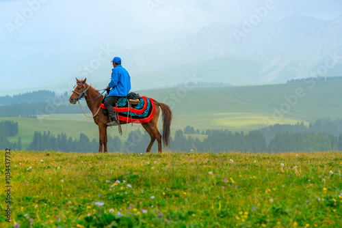 Karajun Grassland, an attractive tourist attraction integrating grasslands, forests, canyons, snow-capped peaks, and lakes, Tekes County, Ili Kazakh Autonomous Prefecture, Xinjiang, China photo