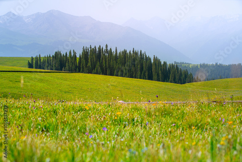 Karajun Grassland, an attractive tourist attraction integrating grasslands, forests, canyons, snow-capped peaks, and lakes, Tekes County, Ili Kazakh Autonomous Prefecture, Xinjiang, China photo