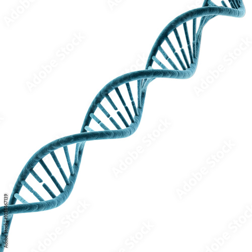 Molecule of DNA isolated on white background, double helix, 3D illustration. Gene therapy, genetic mutation and genetic disorders photo