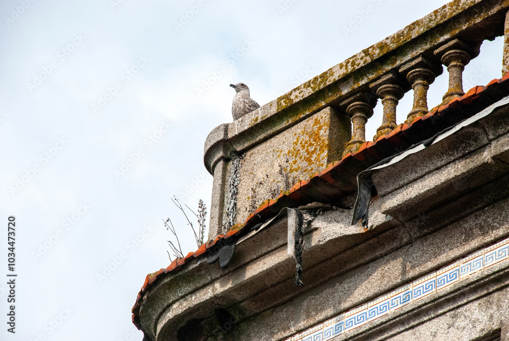 Low angle view to the roof of a deserted house in Porto, Portugal, with.a pigeon sitting in the roof Low angle view to the roof of a deserted house in Porto, Portugal, with.a pigeon sitting in the roof