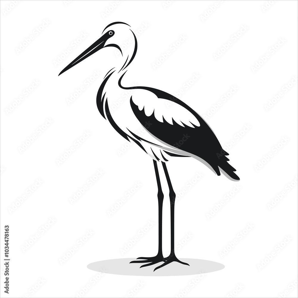 Fototapeta premium white stork ciconia