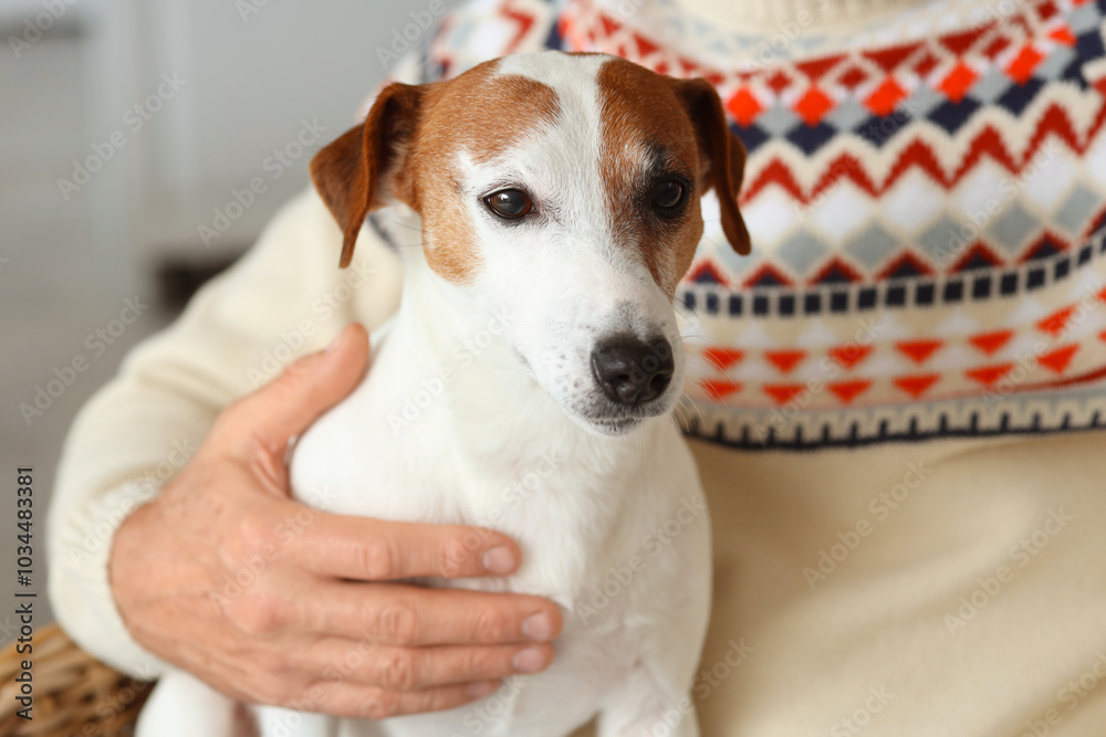 Mature man with cute dog at home on Christmas eve, closeup Mature man with cute dog at home on Christmas eve, closeup