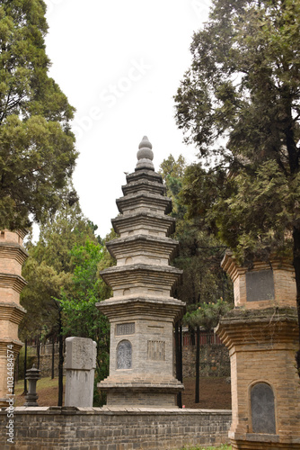 Portrait shot of the Pagoda Forest at the Shaolin Temple