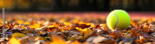 Bright Tennis Ball on Autumn Leaves in a Park Setting with Warm Sunlight and Vibrant Colors