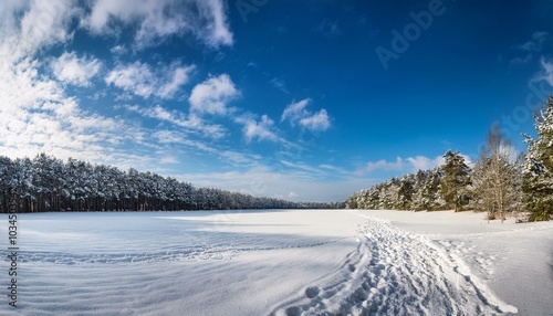 Wallpaper Mural a sweeping view of a snow covered field leading to a forest under a bright blue sky with fluffy clouds Torontodigital.ca