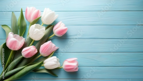 pink and white tulips on a pale blue wooden backdrop